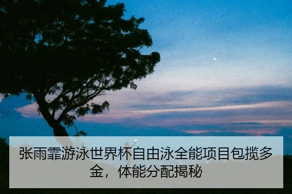zhang-yu-fei-you-yong-shi-jie-bei-zi-you-yong-quan-neng-xiang-mu-bao-lan-duo-jin-ti-neng-fen-pei-jie-mi-2-912.jpg