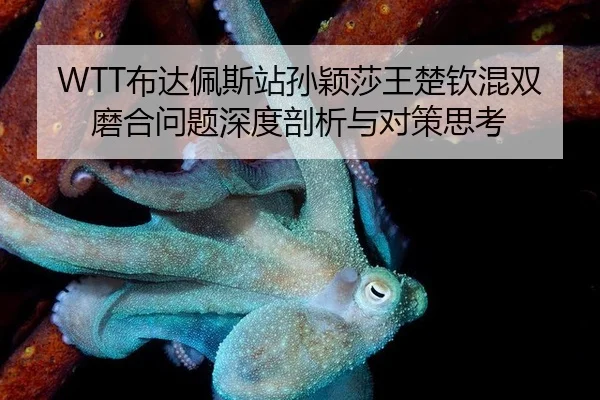 bu-da-pei-si-zhan-sun-ying-sha-wang-chu-qin-hun-shuang-mo-he-wen-ti-shen-du-pou-xi-yu-dui-ce-si-kao-3-484.jpg